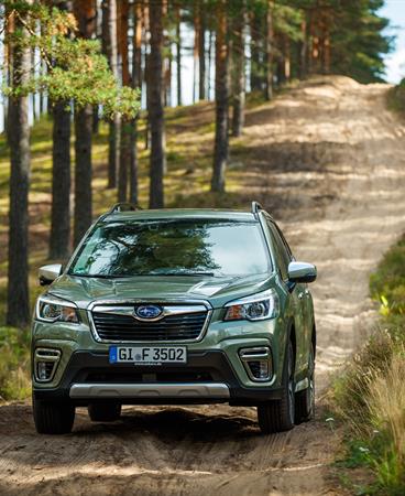 Forester e-BOXER_high-179-192410